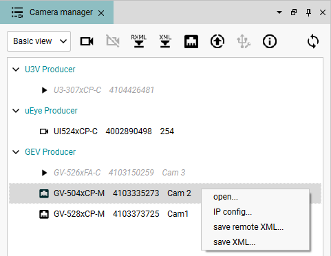 Fig. 226: Camera manager (basic view)
