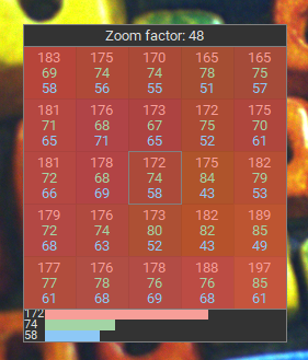 Fig. 233: Pixel viewer with zoom factor
