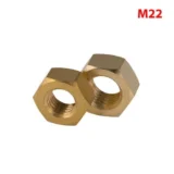 Copper Hex Nuts M22